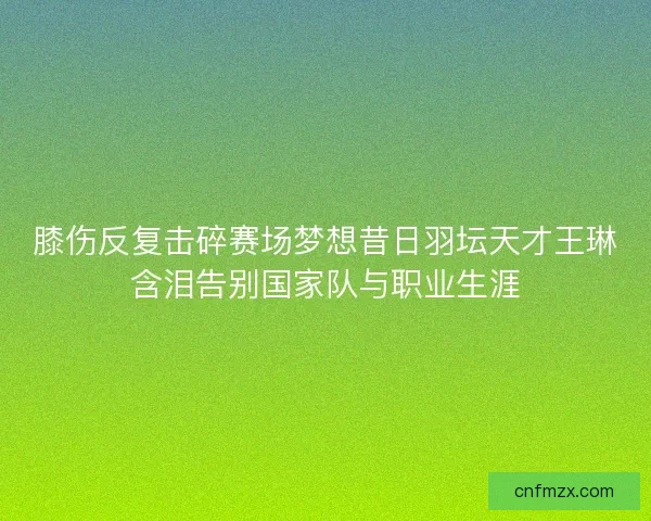 膝伤反复击碎赛场梦想昔日羽坛天才王琳含泪告别国家队与职业生涯