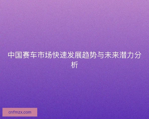 中国赛车市场快速发展趋势与未来潜力分析