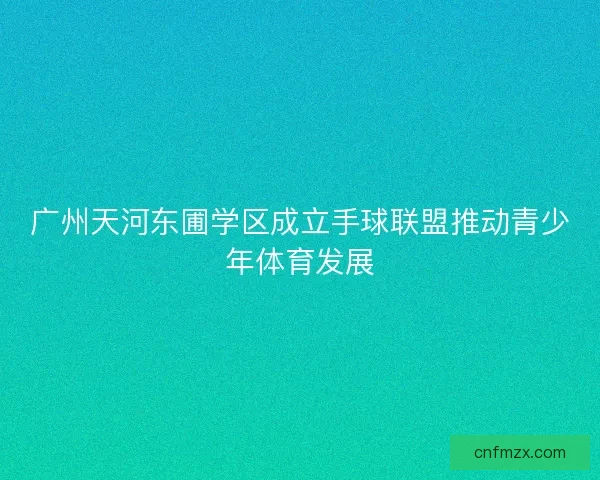 广州天河东圃学区成立手球联盟推动青少年体育发展